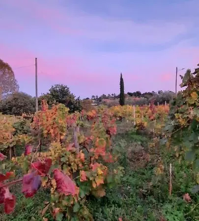 Rectoral De Anllo 3*