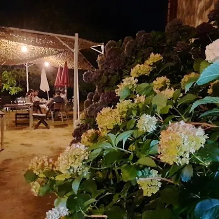 Rectoral De Anllo 3*