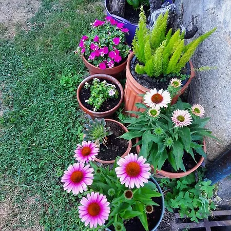 Rectoral De Anllo 호텔