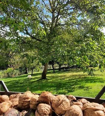 Отель Rectoral De Anllo Собер