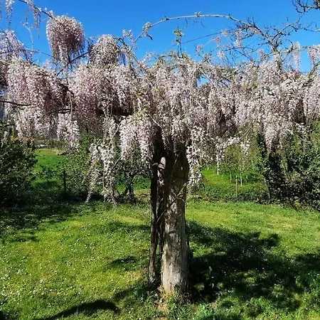 Rectoral De Anllo 3* Sober