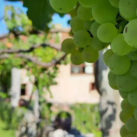 فندق Rectoral De Anllo 3*