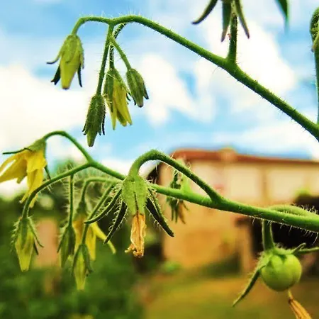 فندق Rectoral De Anllo Sober