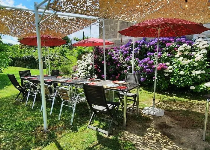 Rectoral De Anllo Sober