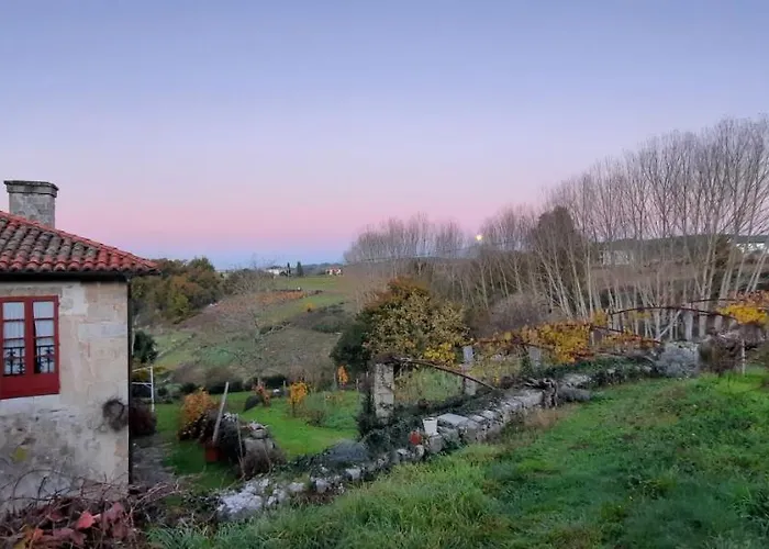 Rectoral De Anllo Sober