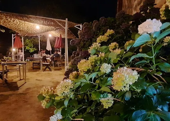 Rectoral De Anllo 3*