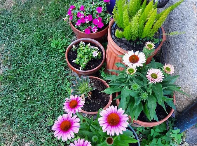 Rectoral De Anllo Szálloda