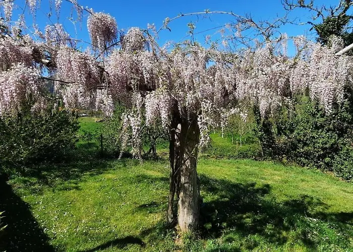Rectoral De Anllo 3* 소베르