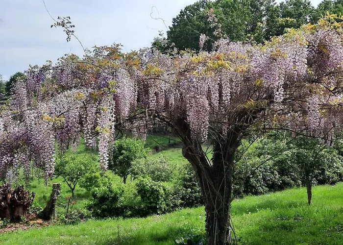 Rectoral De Anllo Sober